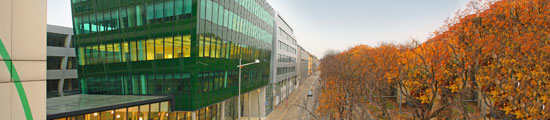 Die Institution WIFI Wien