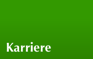 Karriere