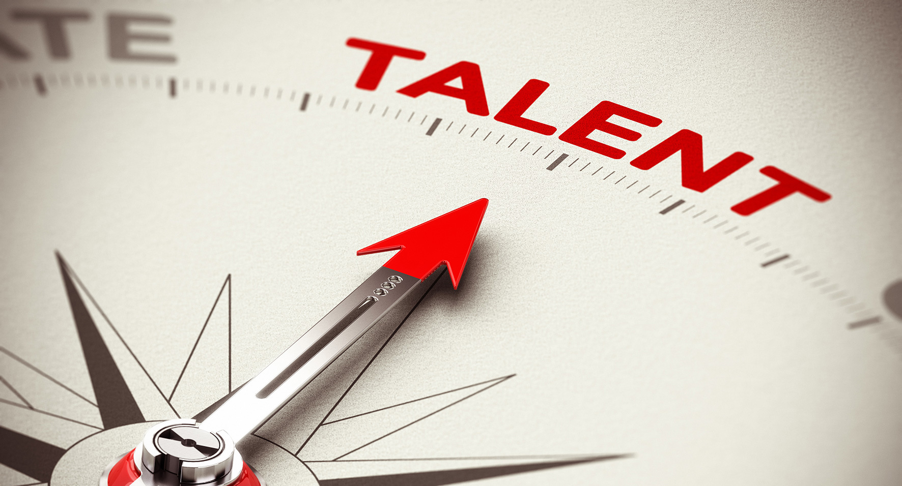 Grafik für -Von verborgenen Talenten zu High Potentials